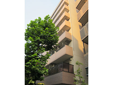 その他共用部　外観3