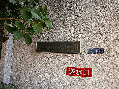 その他共用部　写真1