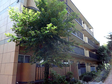 その他共用部 外観3