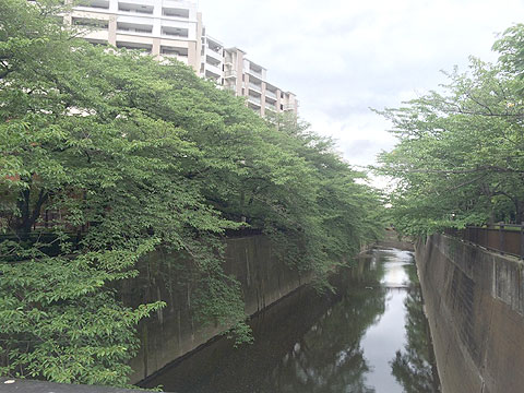 現地外観写真 石神井川(周辺施設)