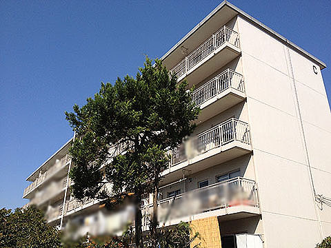 その他共用部 外観2