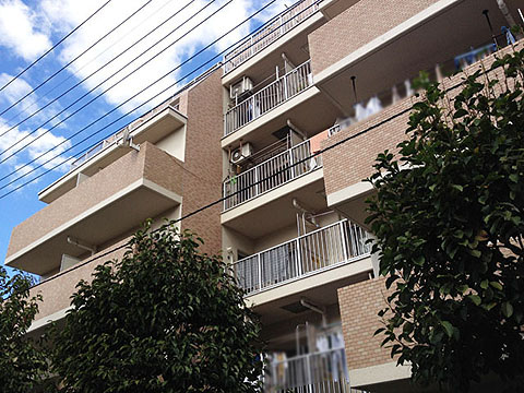 その他共用部 外観3