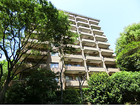 現地外観写真　ノースL１