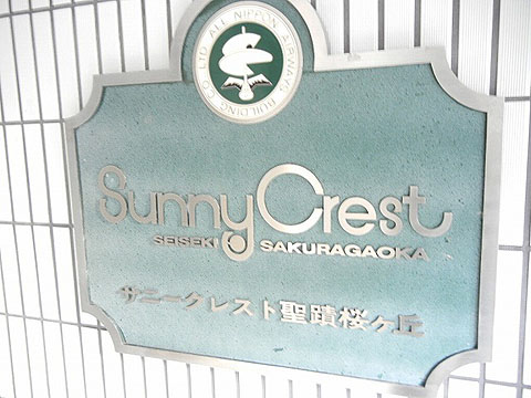 その他共用部　写真１