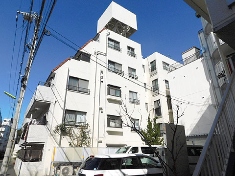 現地外観写真 建物の南面