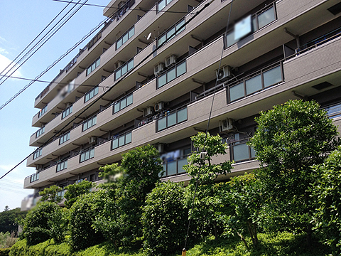 その他共用部 外観4