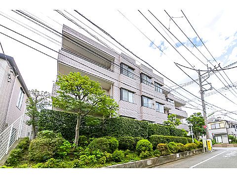 現地外観写真 南側