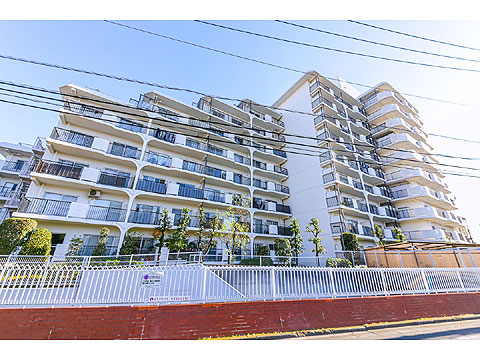 現地外観写真 外観