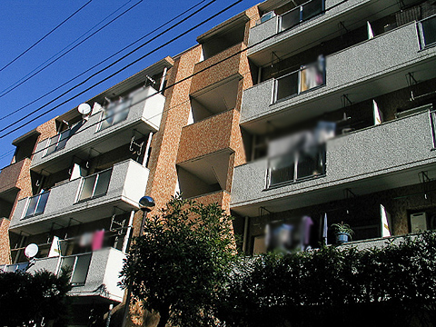 その他共用部 外観3