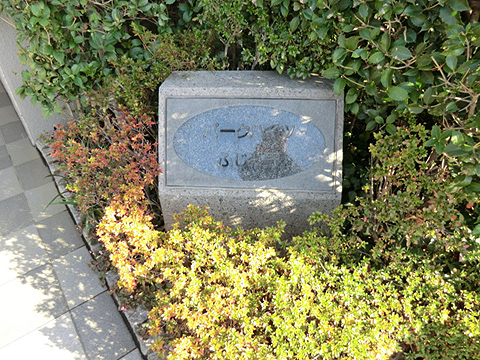 その他共用部　写真1