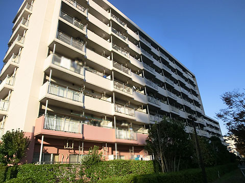 その他共用部　外観南側