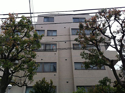 その他共用部 外観2