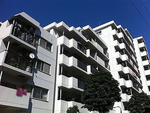 現地外観写真　外観1