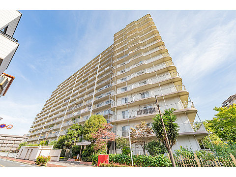 現地外観写真 外観