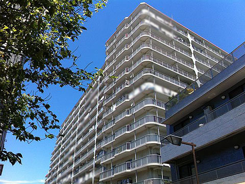 現地外観写真 外観1