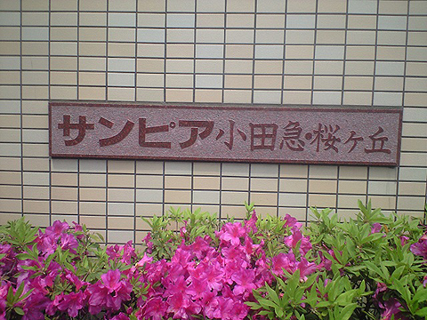 その他共用部　写真1