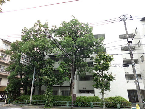 その他共用部　外観3