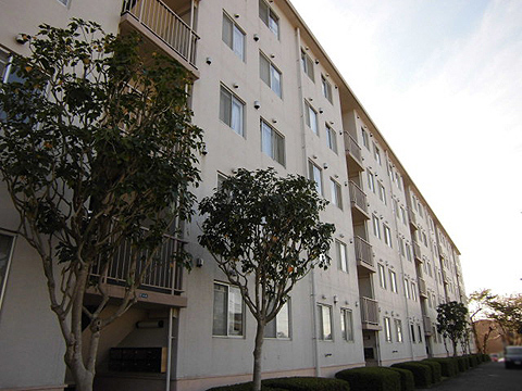 その他共用部　外観2