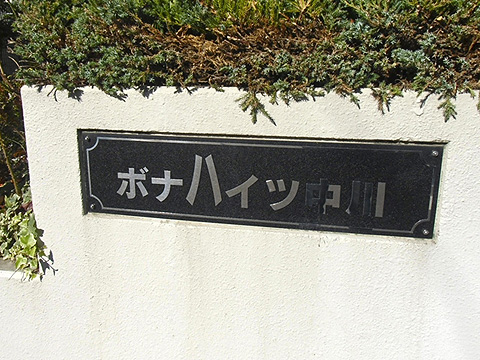 その他共用部　写真1