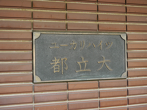 その他共用部 写真1