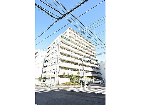 現地外観写真 外観