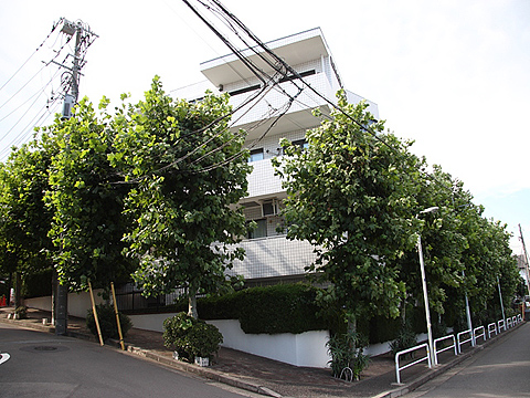 その他共用部　外観2