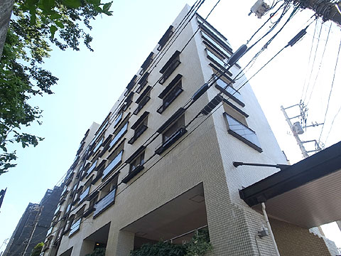 現地外観写真 外観 (3)