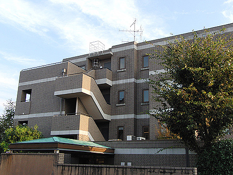 現地外観写真 外観