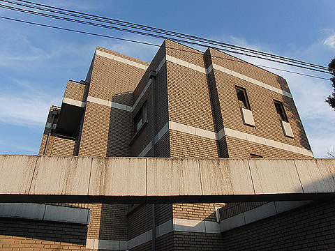 現地外観写真 外観