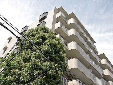 その他共用部 外観4