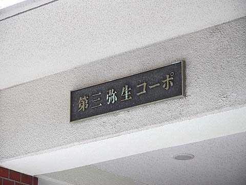 その他共用部　写真1