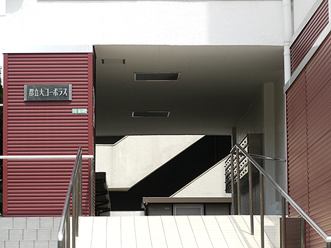 その他共用部　エントランス2