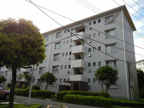 その他共用部 外観3