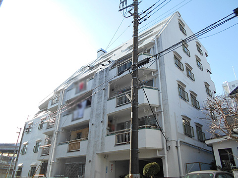 現地外観写真 外観