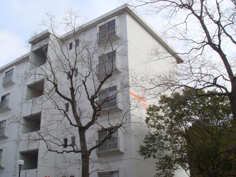 その他共用部 外観9