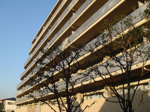 その他共用部 外観6