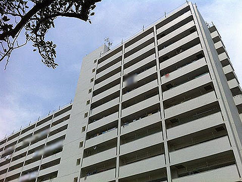 その他共用部 外観2