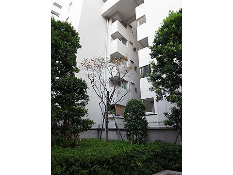 その他共用部　外観４