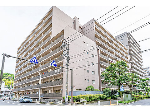 現地外観写真　外観１