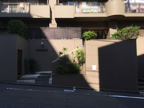 エントランス　エントランス階段