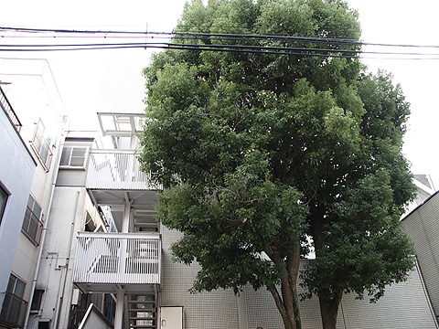 その他共用部　外観2