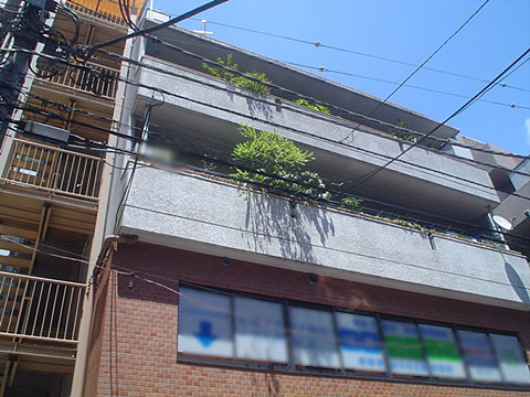 その他共用部　外観3