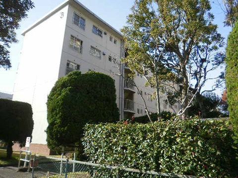 その他共用部 外観9