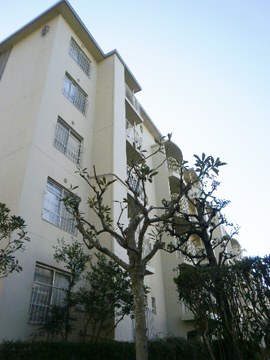 その他共用部 外観4