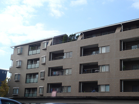 その他共用部　外観3