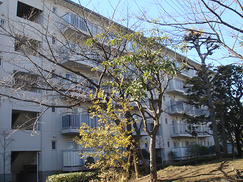 その他共用部　外観3