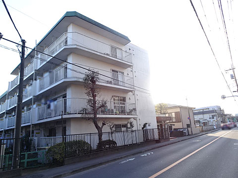 現地外観写真 外観