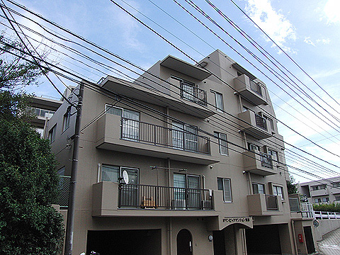 現地外観写真 外観