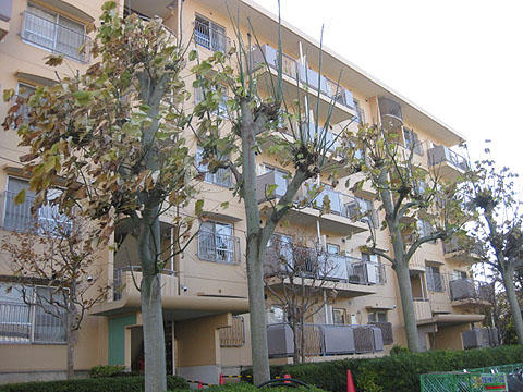 その他共用部　外観4