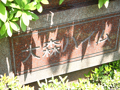 その他共用部　写真1